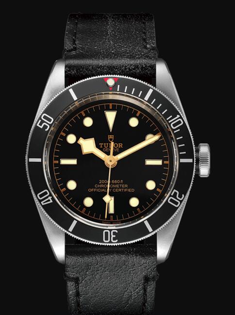 Tudor BLACK BAY M79230N-0008 Replica Watch